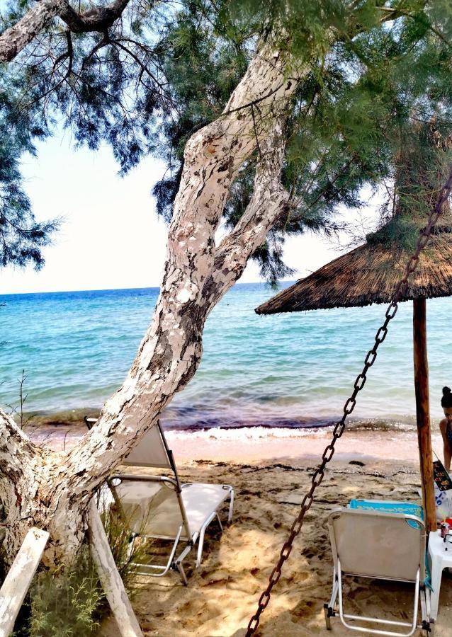 3 Room Apartment By The Beach - Free Parking Peraía エクステリア 写真